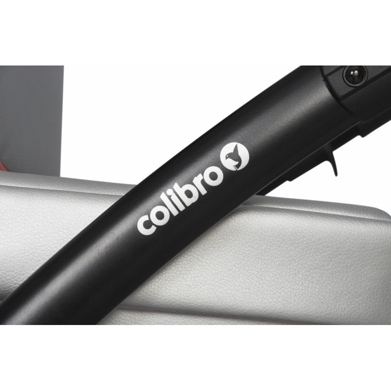 Коляска 2 в 1 Colibro Nesto 9023-CN-10, star, сірий