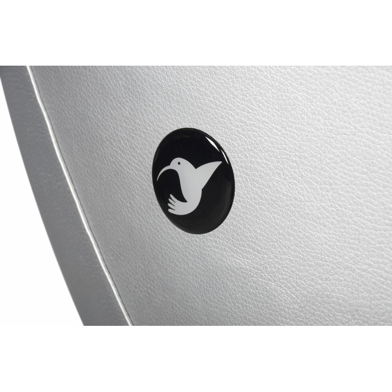 Коляска 2 в 1 Colibro Nesto 9023-CN-10, star, сірий