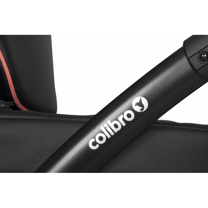 Коляска 2 в 1 Colibro Nesto 9023-CN-13, ink, чорний