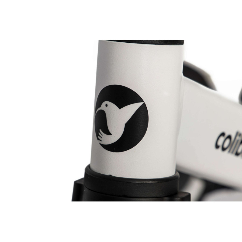 Велосипед Colibro Tremix 4 в 1 Blank