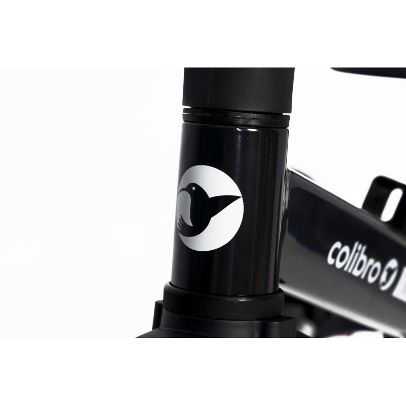 Велосипед Colibro Tremix 4 в 1 Magnetic
