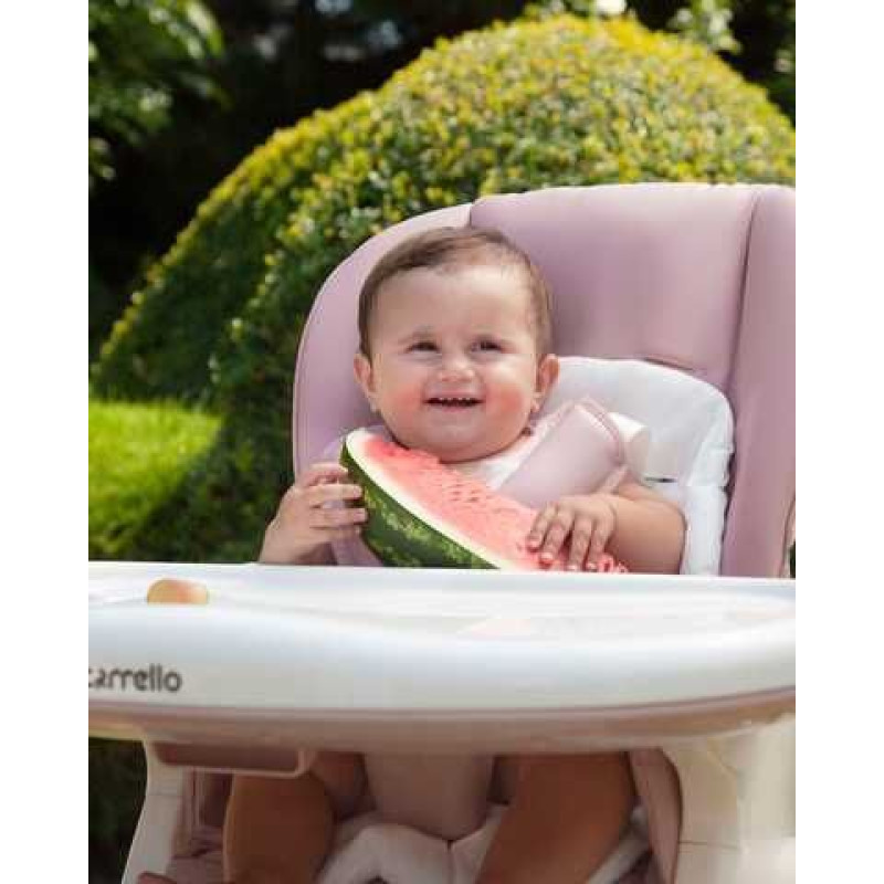 Стілець для годування CARRELLO Stella CRL-9503 Powder Pink /1/ MOQ