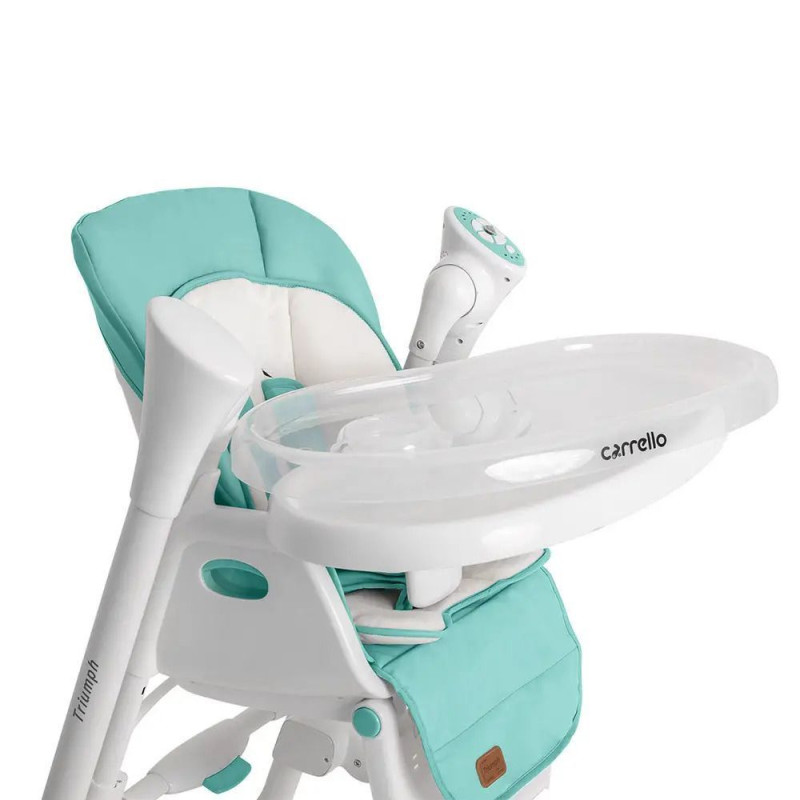 Стілець-гойдалка CARRELLO Triumph CRL-10302 Turquoise / Mint Green /1/ MOQ