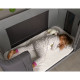 Дитяче ліжко 3 в 1 Chicco Next2Me Forever, кол.77