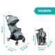 Коляска Chicco Goody Plus Stroller, кол.19.00