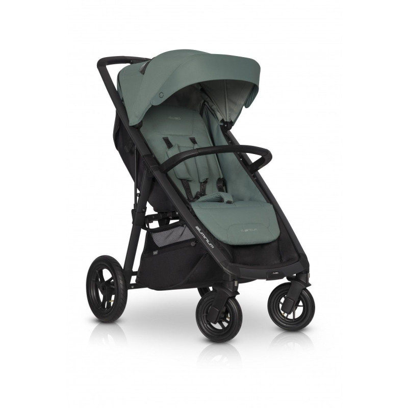 Коляска EasyGo Quantum Agava