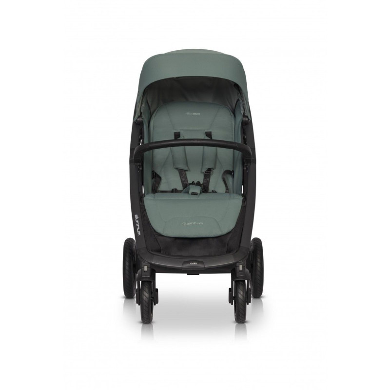 Коляска EasyGo Quantum Agava