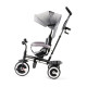 Триколісний велосипед Kinderkraft Aston Grey