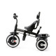 Триколісний велосипед Kinderkraft Aston Grey