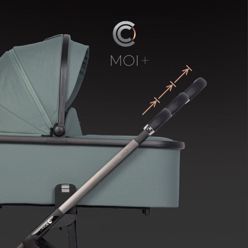 Дитяча коляска 2 в 1 Cavoe Moi+ Boho green