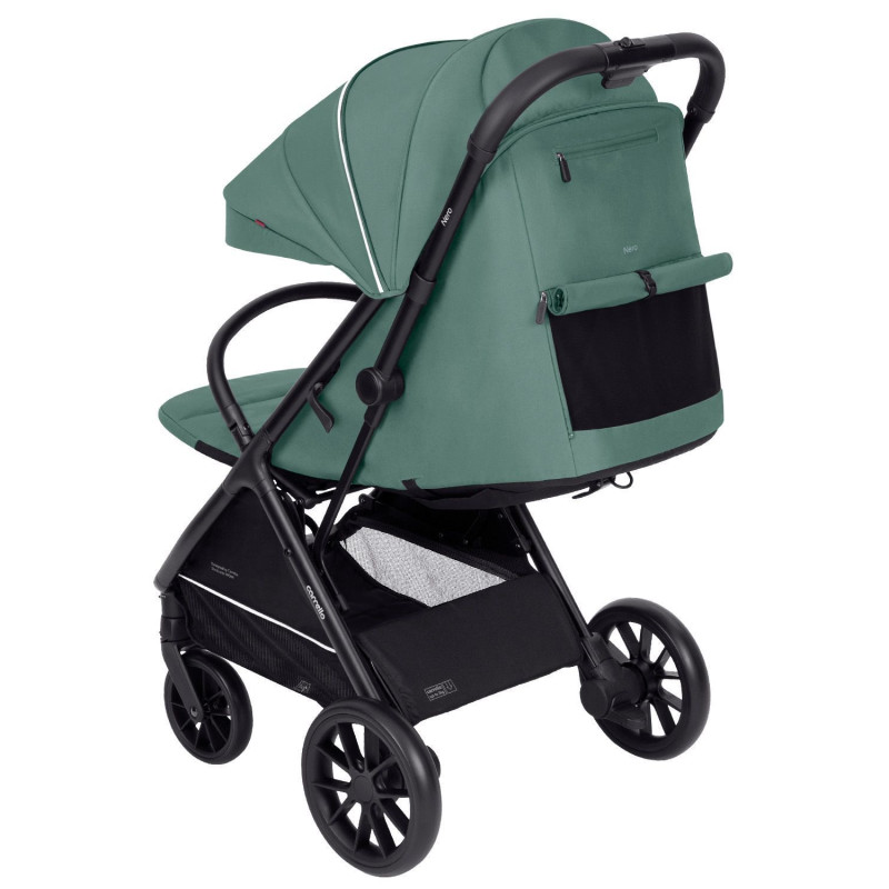 Прогулянкова коляска Carrello Nero CRL-5514 Pear Green /1/