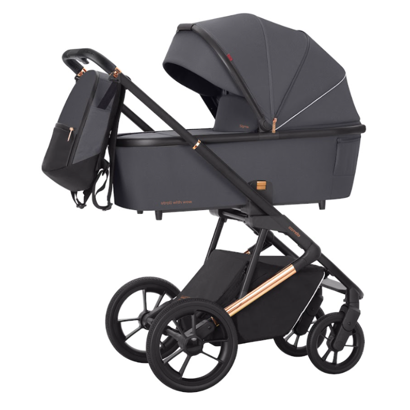 Коляска універсальна CARRELLO Sigma CRL-6509 (2in1) Stone Grey /1/