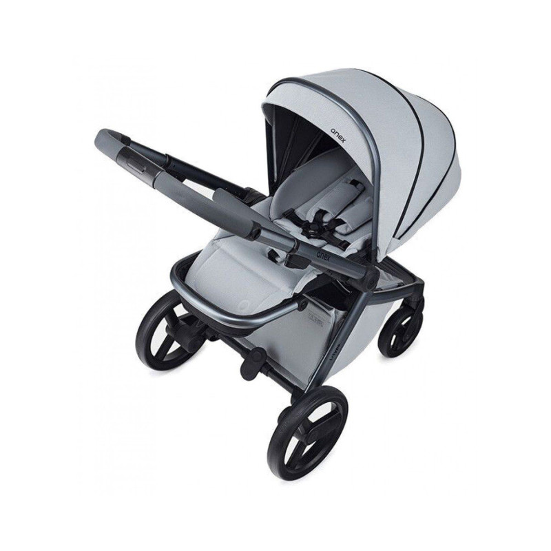 Коляска 2 в 1 Anex L/Type 10 Frost