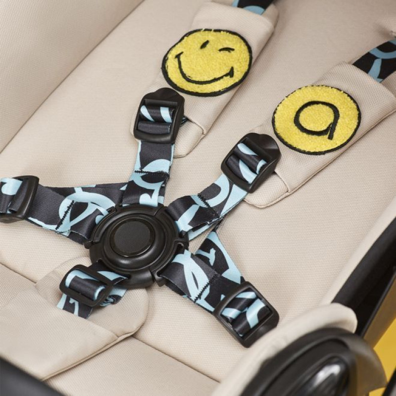 Коляска 2 в 1 Anex E/Type Joy x Smiley