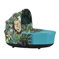 Люлька Cybex Priam Lux R by DJ Khaled We The Best