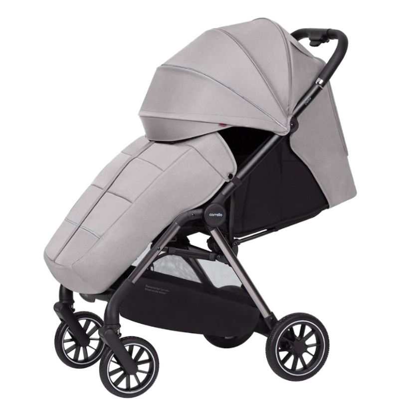 Прогулянкова коляска CARRELLO Delta CRL-5517 Flint Grey /1/