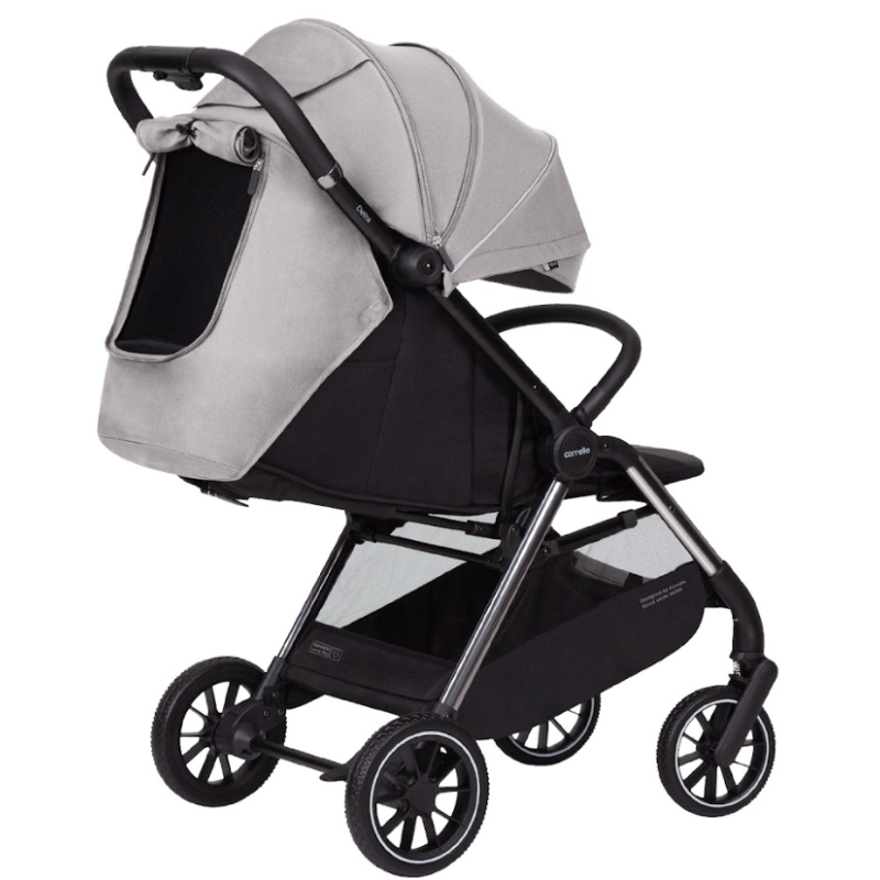 Прогулянкова коляска CARRELLO Delta CRL-5517 Flint Grey /1/