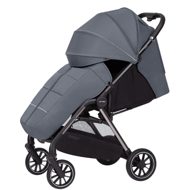 Прогулянкова коляска CARRELLO Delta CRL-5517 Lava Grey /1/