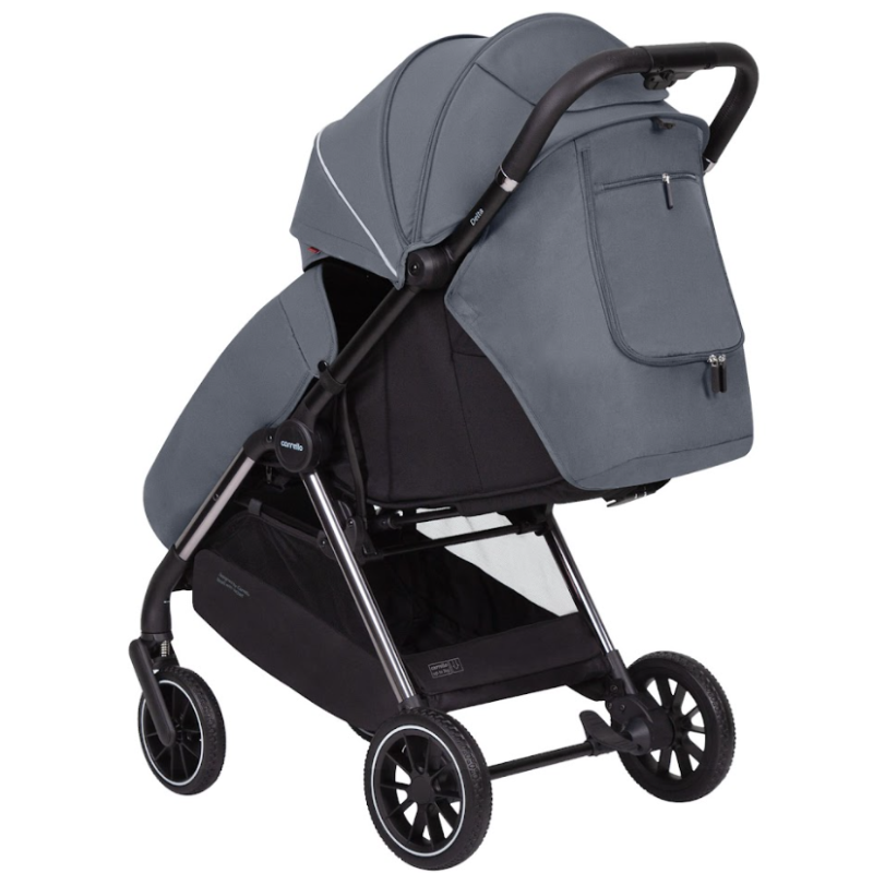 Прогулянкова коляска CARRELLO Delta CRL-5517 Lava Grey /1/