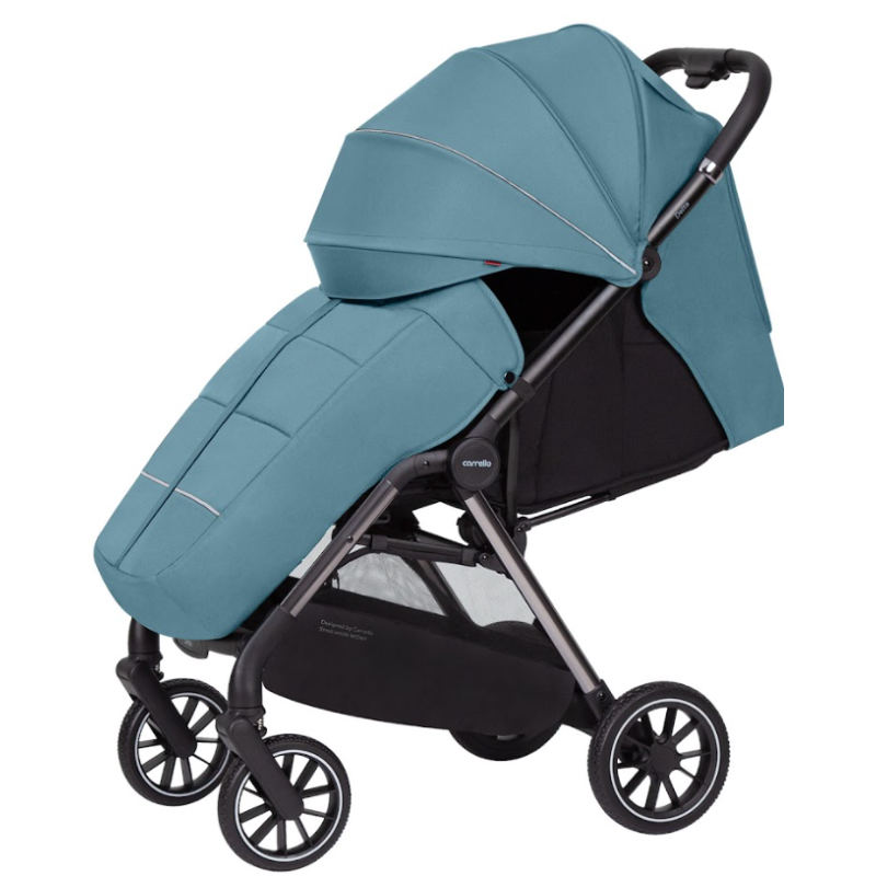 Прогулянкова коляска CARRELLO Delta CRL-5517 Sky Blue /1/