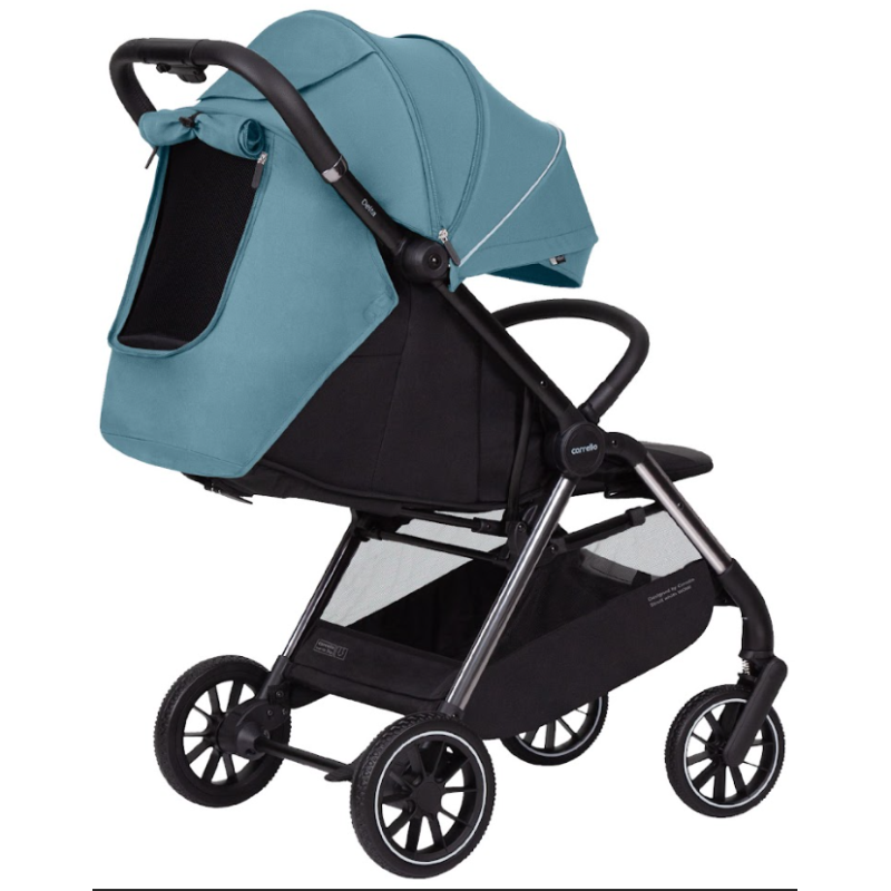 Прогулянкова коляска CARRELLO Delta CRL-5517 Sky Blue /1/