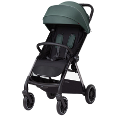 Прогулянкова коляска CARRELLO Delta CRL-5517 Jungle Green /1/