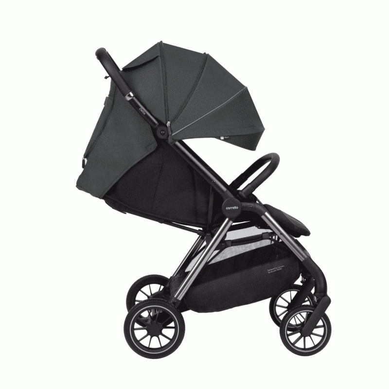Прогулянкова коляска CARRELLO Delta CRL-5517 Jungle Green /1/