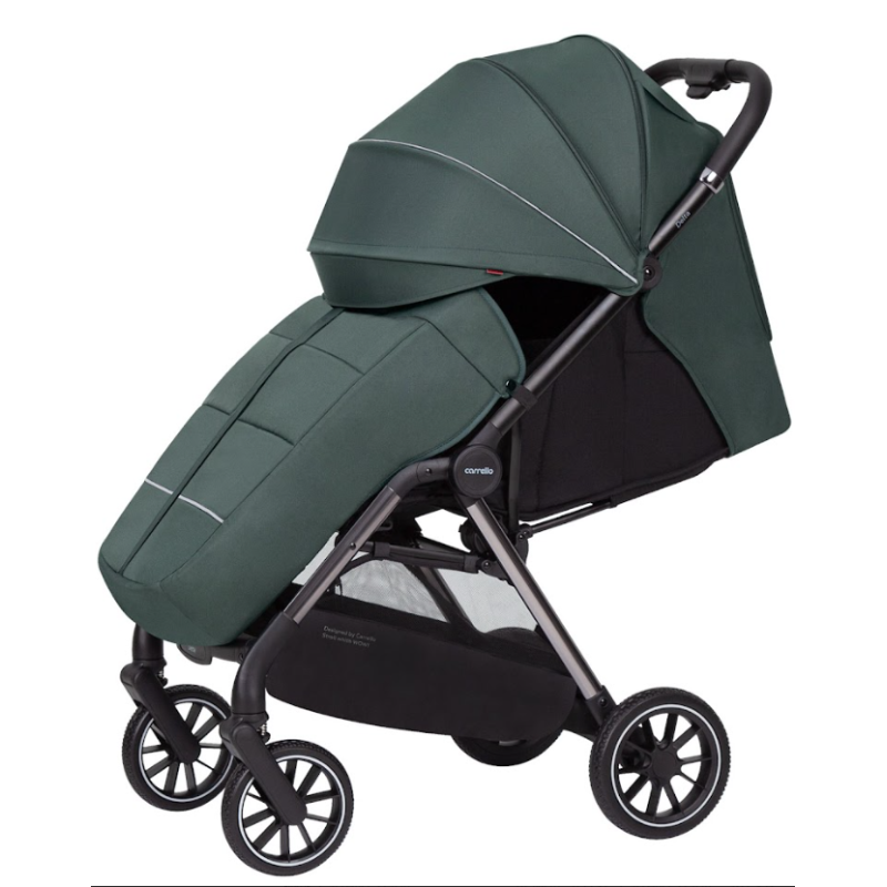 Прогулянкова коляска CARRELLO Delta CRL-5517 Jungle Green /1/