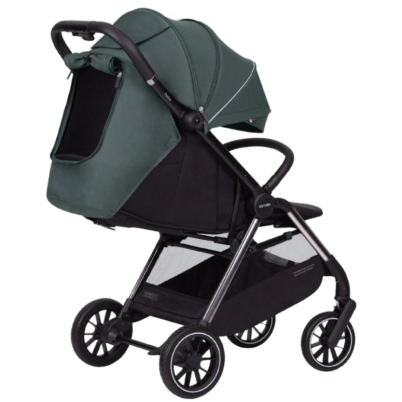 Прогулянкова коляска CARRELLO Delta CRL-5517 Jungle Green /1/