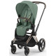 Коляска 2 в 1 Cybex Priam 4.0 Rose Gold Leaf green