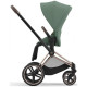 Коляска 2 в 1 Cybex Priam 4.0 Rose Gold Leaf green