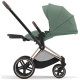 Коляска 2 в 1 Cybex Priam 4.0 Rose Gold Leaf green
