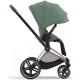 Коляска 2 в 1 Cybex Priam 4.0 Rose Gold Leaf green