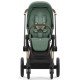 Коляска 2 в 1 Cybex Priam 4.0 Rose Gold Leaf green