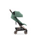 Коляска Cybex Coya Rosegold Leaf Green