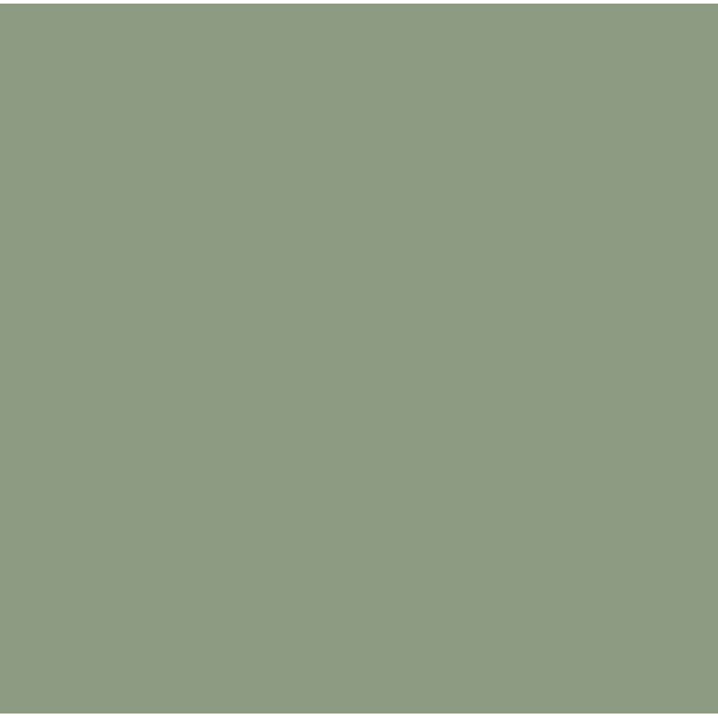 Прогулянкова коляска CARRELLO Bravo SL CRL-5520 Fruit Green /1/