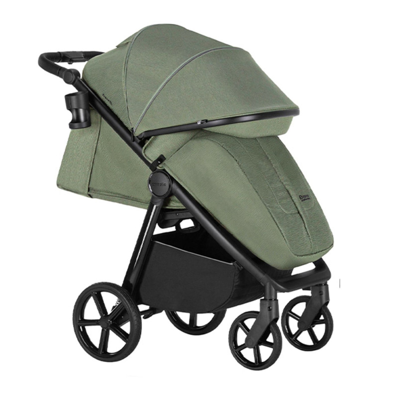 Прогулянкова коляска CARRELLO Bravo SL CRL-5520 Fruit Green /1/