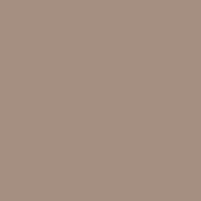 Прогулянкова коляска CARRELLO Bravo SL CRL-5520 Sand Beige /1/