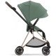 Коляска 2 в 1 Cybex Mios Rose gold Leaf green