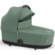 Коляска 2 в 1 Cybex Mios Rose gold Leaf green
