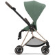 Коляска 2 в 1 Cybex Mios Rose gold Leaf green