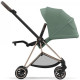 Коляска 2 в 1 Cybex Mios Rose gold Leaf green