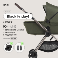 Універсальна коляска Anex iQ Premium Richi