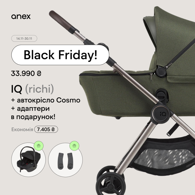 Універсальна коляска Anex iQ Premium Richi
