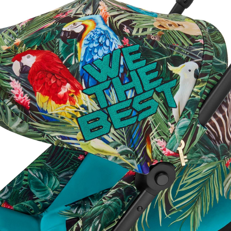 Коляска Cybex Coya by DJ Khaled We The Best