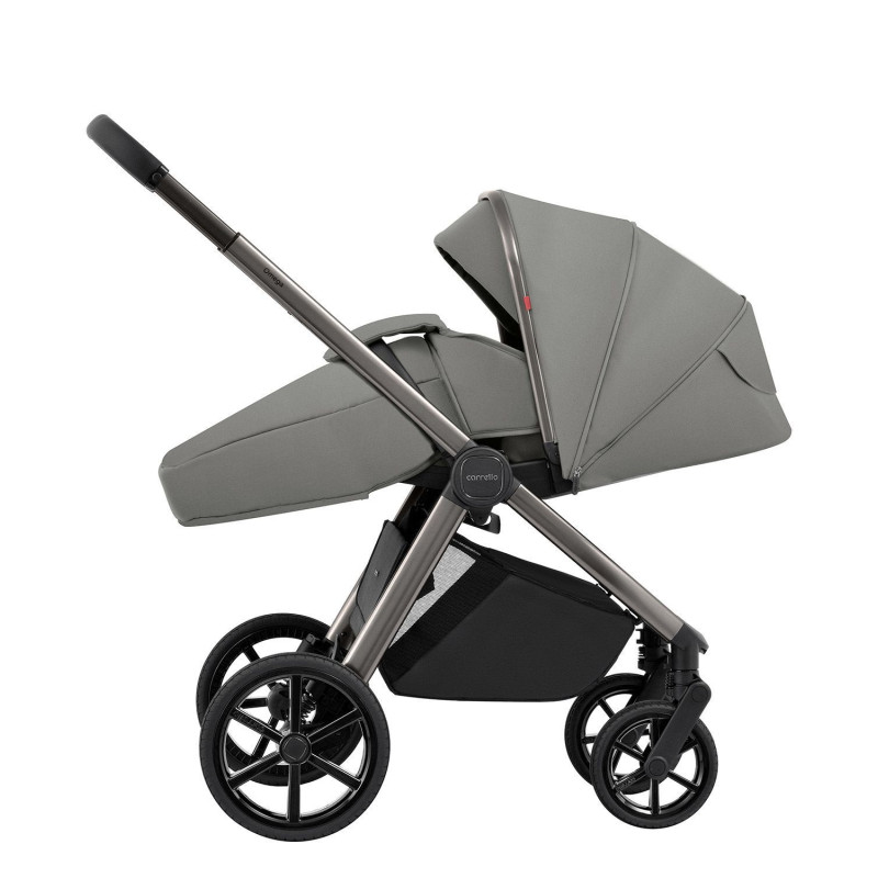 Коляска універсальна CARRELLO Omega CRL-6530 (2in1) Superb Grey /1/