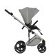 Коляска Anex Mev 2 в 1 Kite