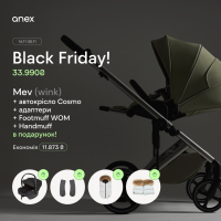 Коляска Anex Mev 2 в 1 Wink