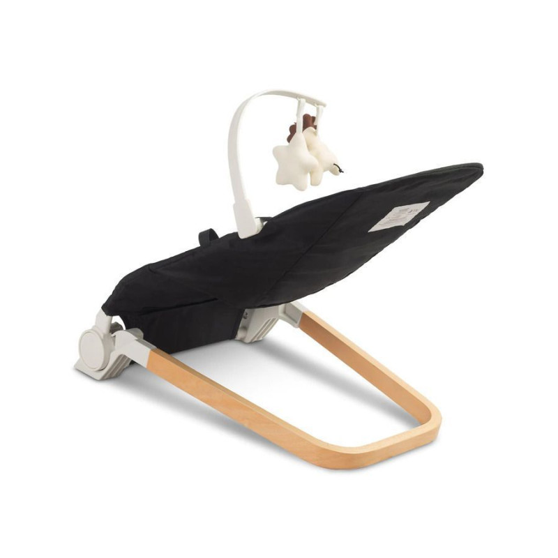 Дитяче крісло шезлонг Caretero Pine Black