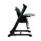 Стільчик для годування + качель 2 в 1 Caretero Indigo Black Green